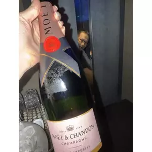 白石 愛莉