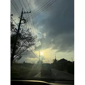せいか