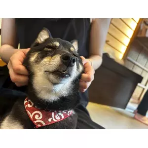 ふゆか