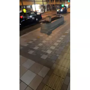 にこる