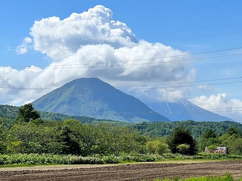 桃野 花純