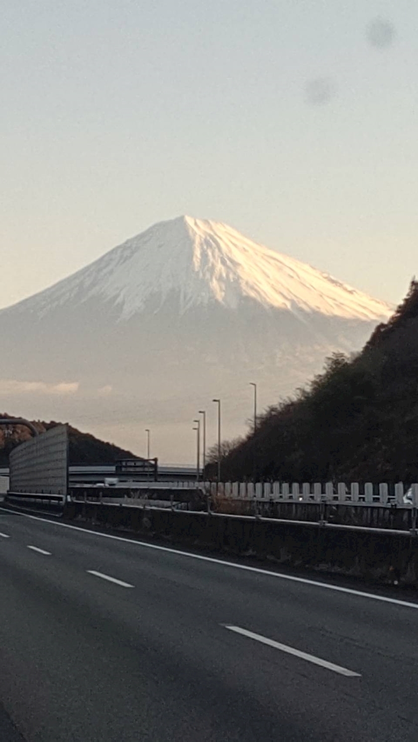 一条 ふうか