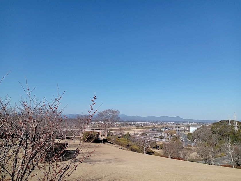 一条 ふうか