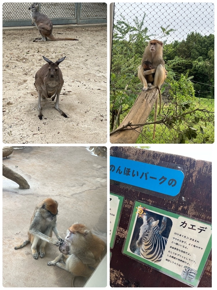 高槻 かえで