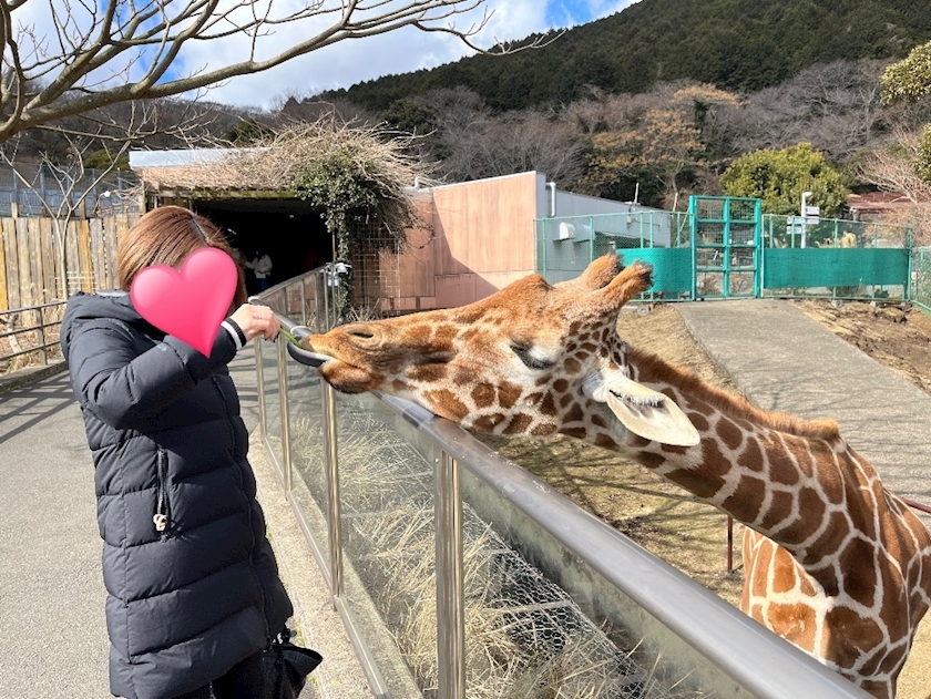 高槻 かえで