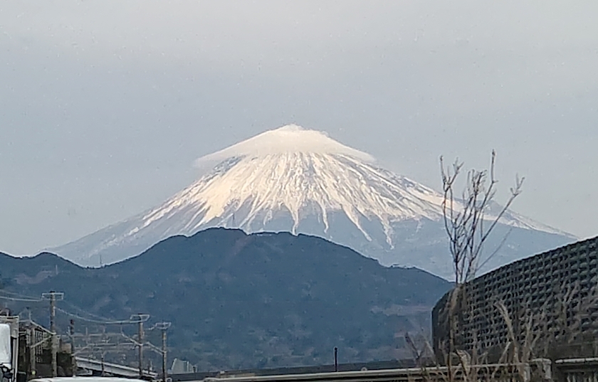 雪森 ふじの