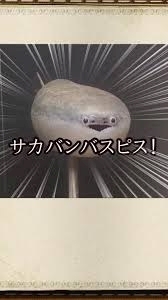 うづき ふうか