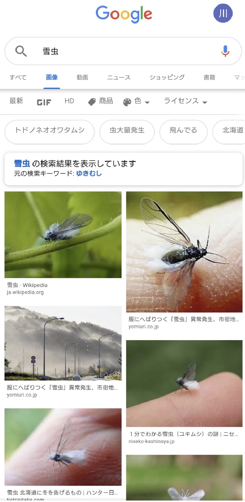 桃野 花純