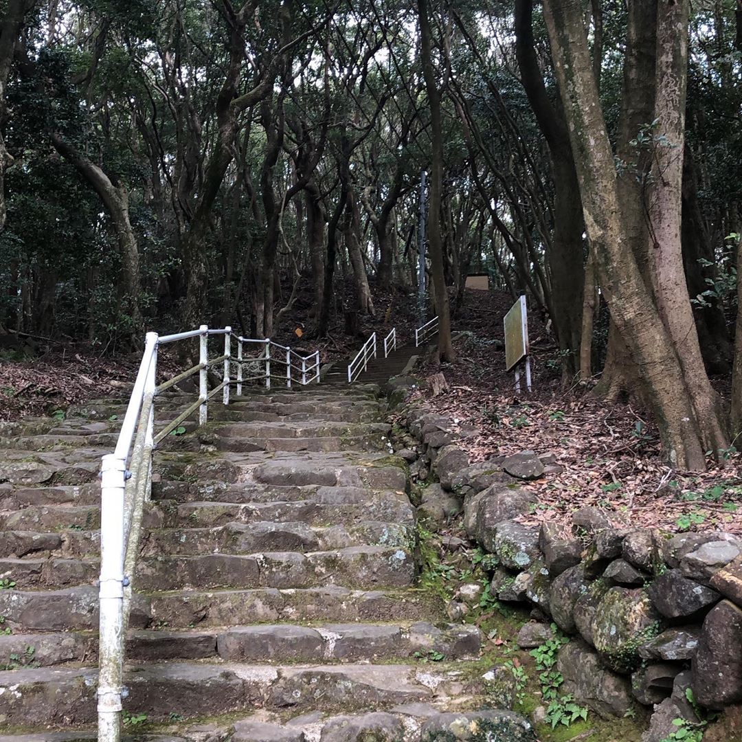 藤本 祐子ママ