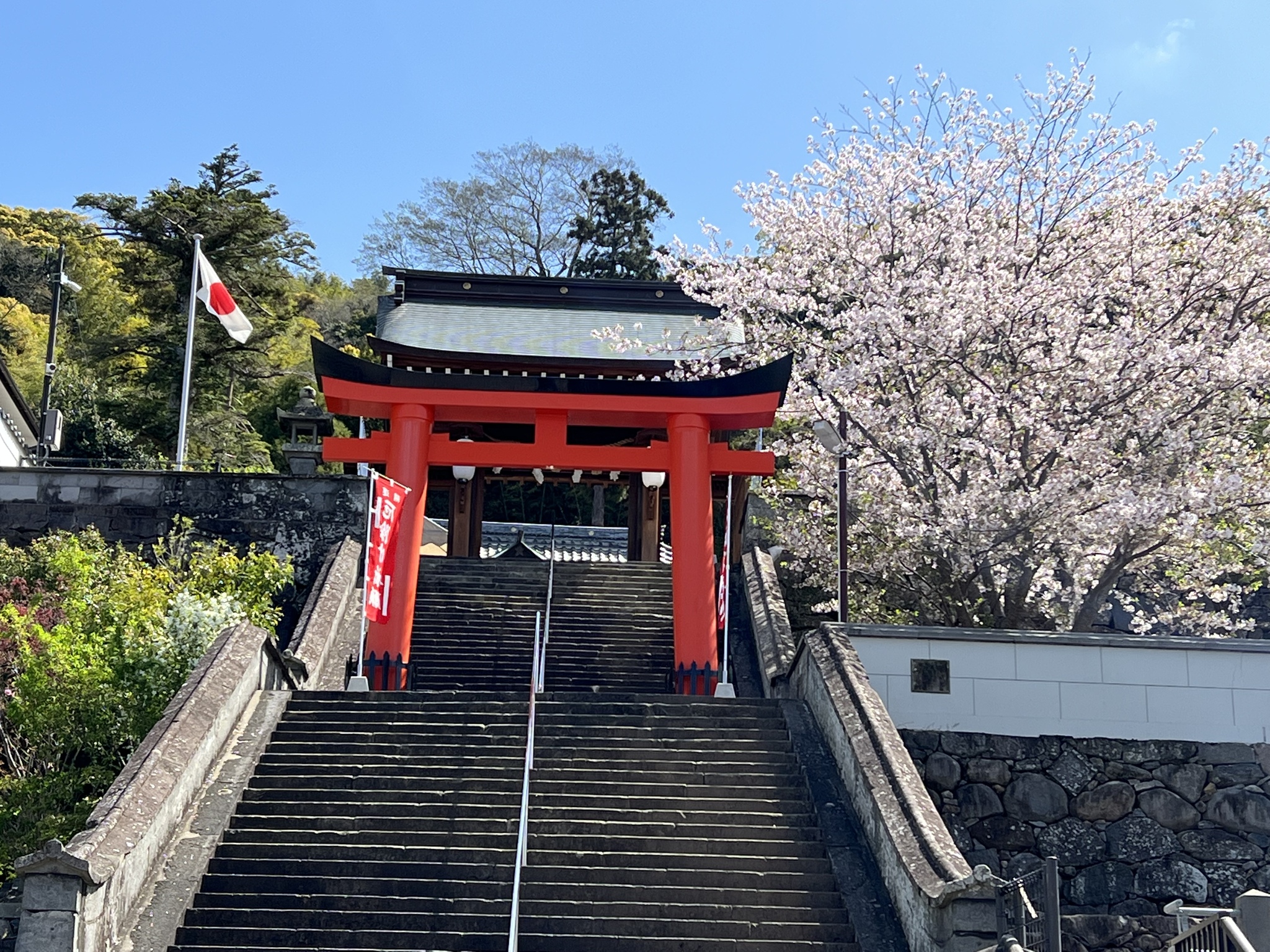 藤本 祐子ママ