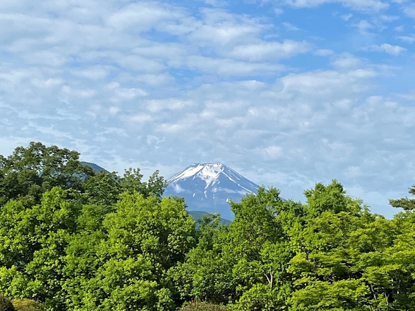 桃野 花純