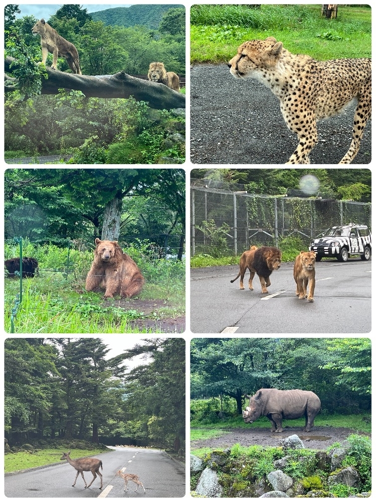 高槻 かえで