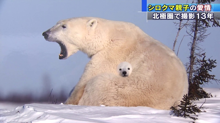 望月 りん