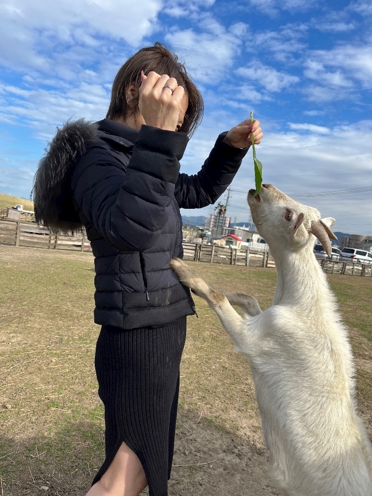 高槻 かえで