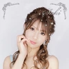 天音 咲希