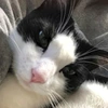 めぐ