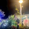 しほ