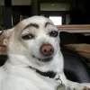 けんてぃー