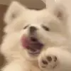 内勤