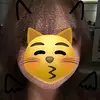 あみ