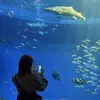 ちい