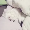 すみれ(ママ)