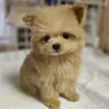れい
