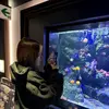 みさと