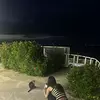 サイカ