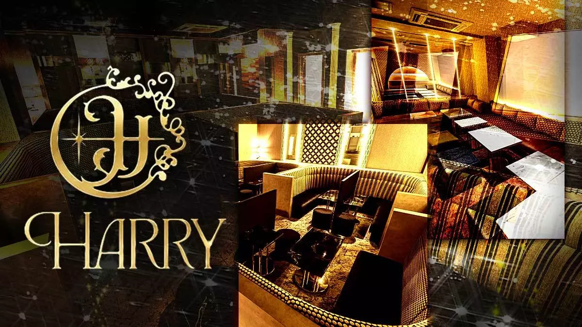 CLUB HARRY