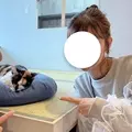 まゆか|海部郡 蟹江町錦のキャバクラ|carthago(カルタゴ)