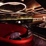 MADONNA CLUB