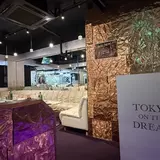 Tokyo on the Dream
