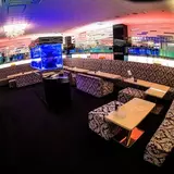 New Club Camellia