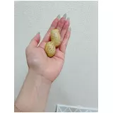 日記画像
