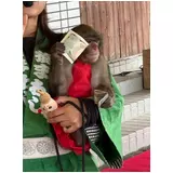 日記画像