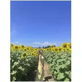 日記画像