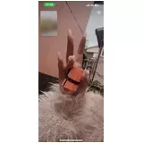 日記画像