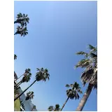 日記画像