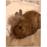 日記画像