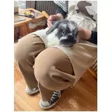 日記画像