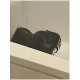 日記画像