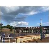日記画像