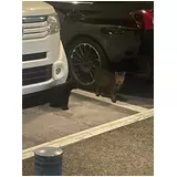 日記画像