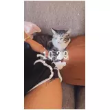 日記画像