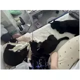 日記画像