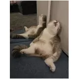 日記画像