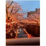 日記画像