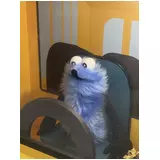 日記画像