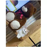 日記画像